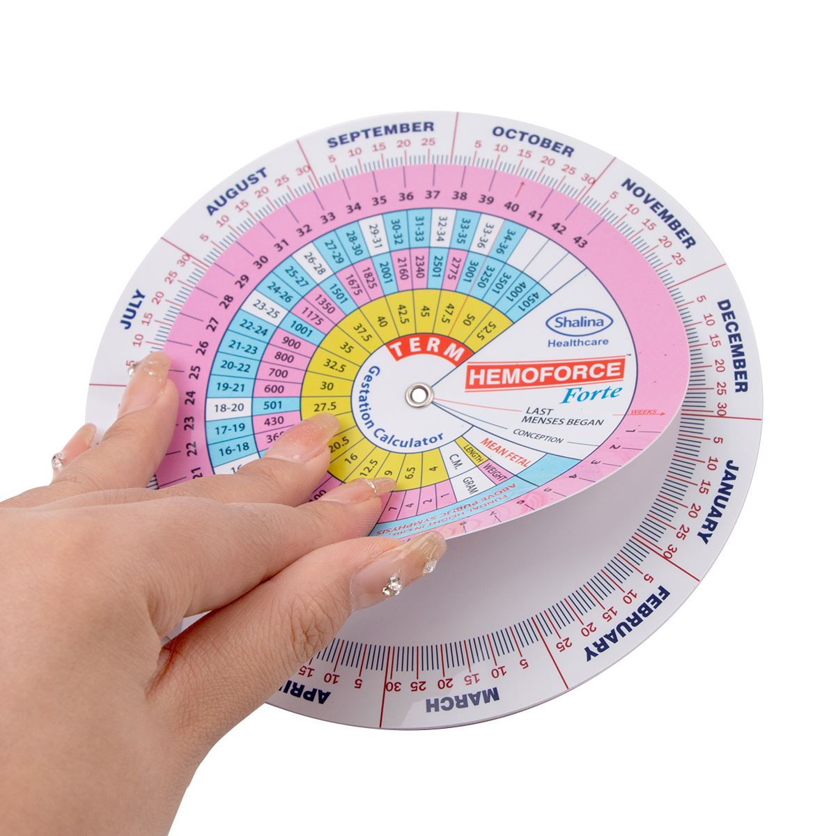 Customized Medical Round Pregnancy Calculator Due Date Wheel