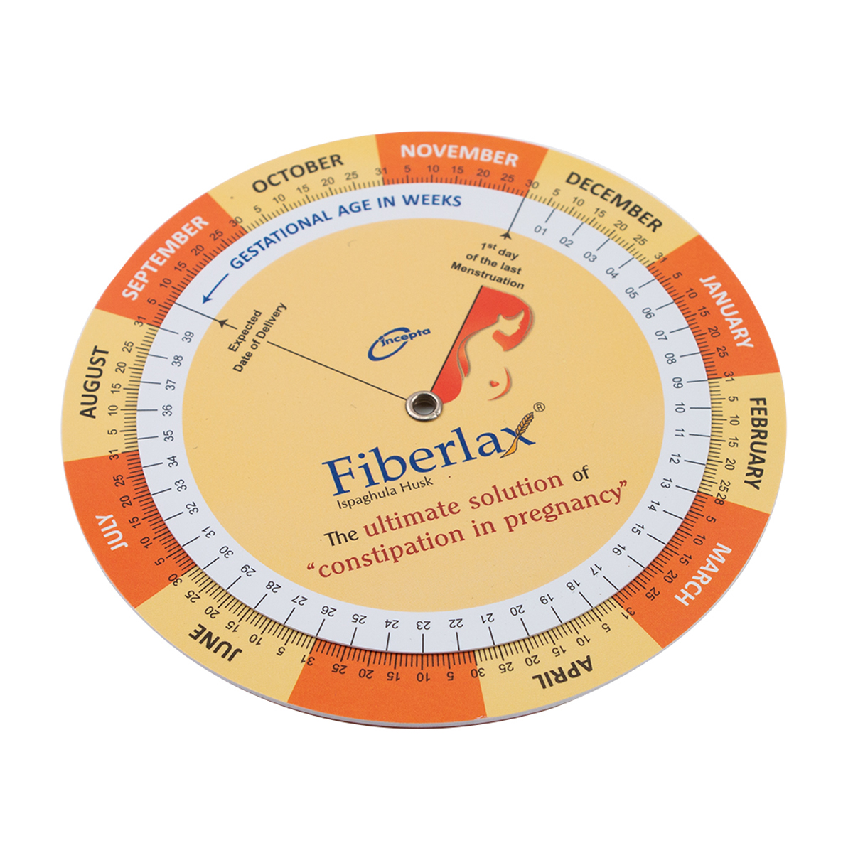 Hot Sale Pregnancy Due Date wheel Calculator & BMI Calculator Wheel