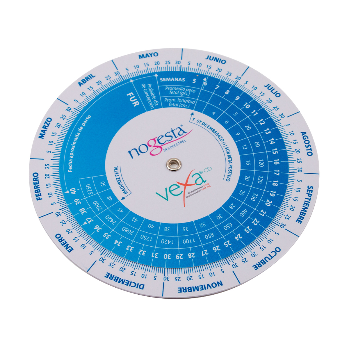 BMI Body Fat Calculator Machine Plastic Medical Pregnancy Calculator Wheel