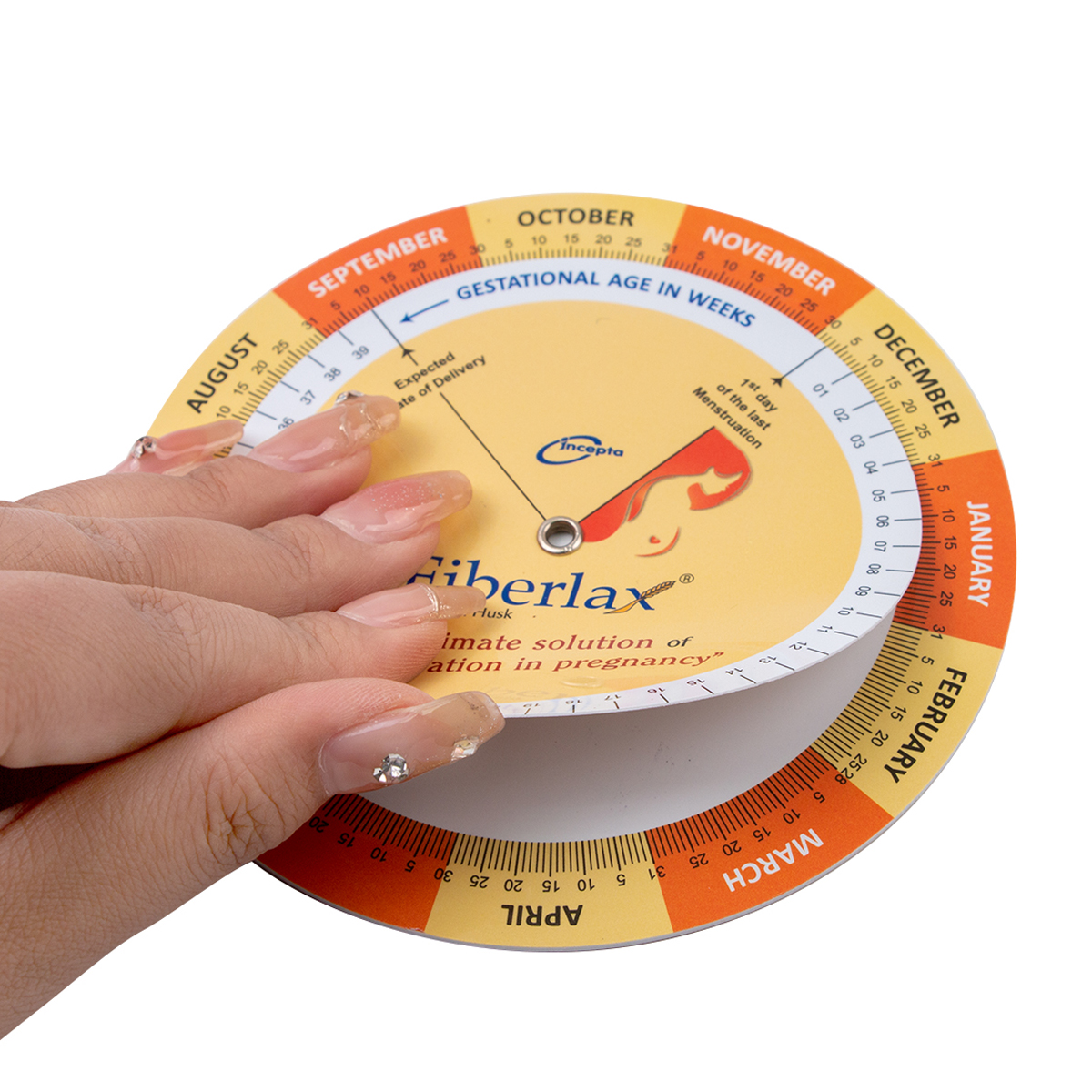 Hot Sale Pregnancy Due Date wheel Calculator & BMI Calculator Wheel