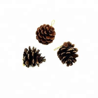 Hot Sale Christmas Decorative Pine Cone