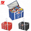 Top Quality Promotional Non Woven Ice Cooler Bag