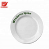 Plastic Plate With Printed Logo For Promotion