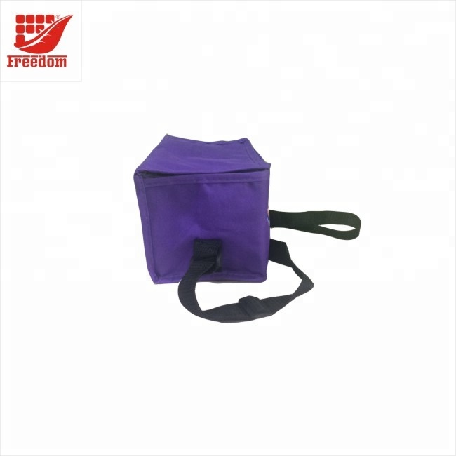 Printed Cheap EPE PEVA Oxford Cooler Bag