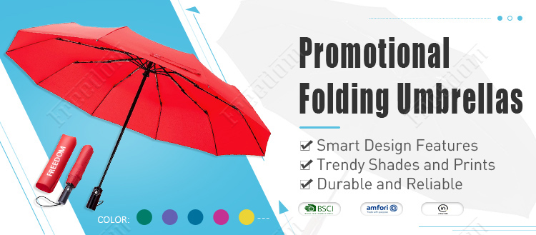 Folding Umbrella (1)