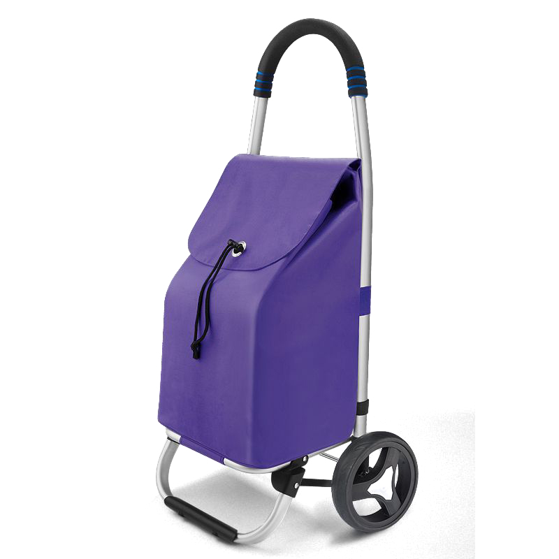 Custom Logo Eco Friendly Shopping Grocery Cart Wheeled Reusable Folding ShoppingTrolley Bag For Promotion