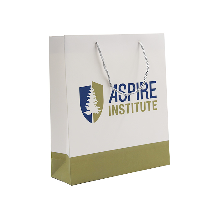 Wholesale Cheap Price Biodegradable Packaging Bag Custom Logo Shopping Paper Bag