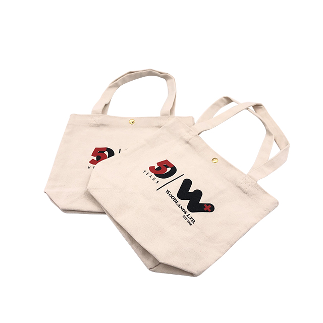 BSCI factory eco-friendly recyclable cotton shopping bags