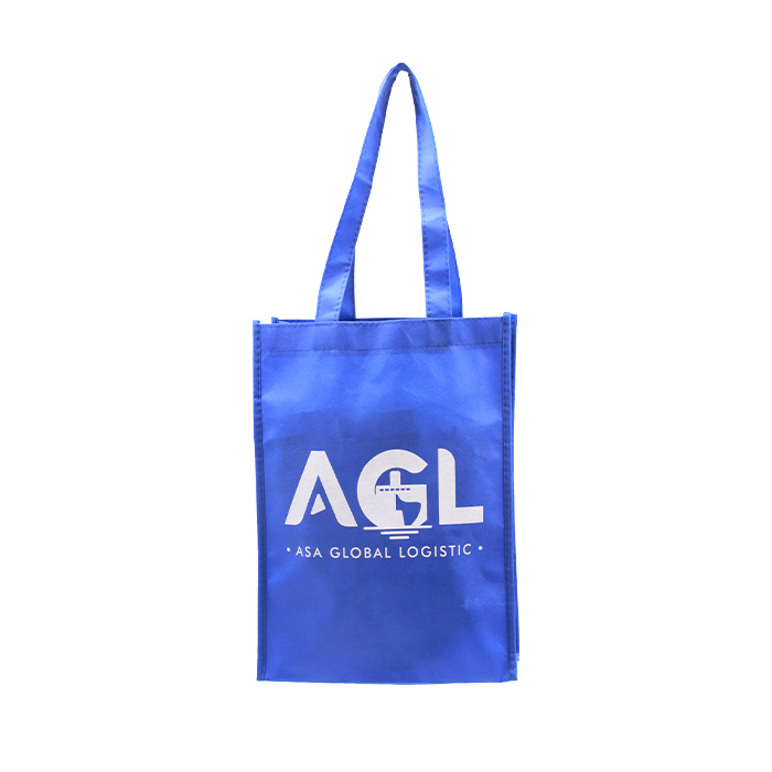 Wholesale Portable Non Woven Shopping Bags Reusable Eco Friendly Non-woven Tote Bag
