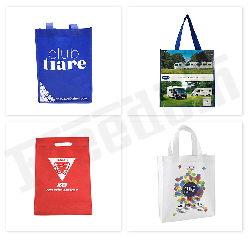 Non Woven Bag (4)