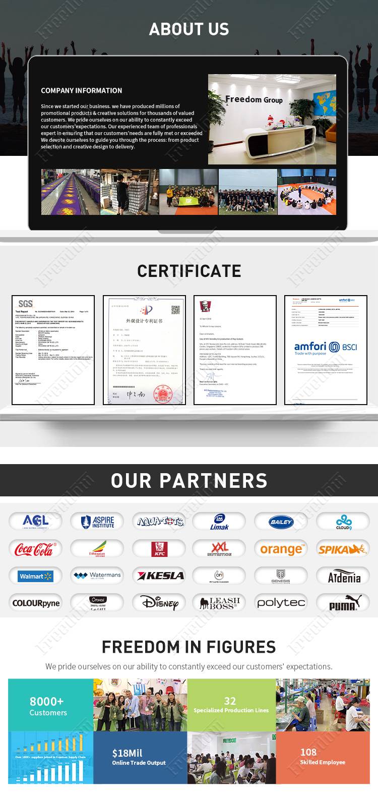 USB Flash Drive (10)