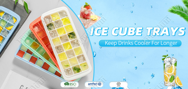 Ice Cube Tray (1)