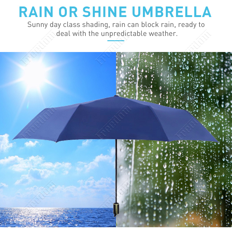 Folding Umbrella (5)