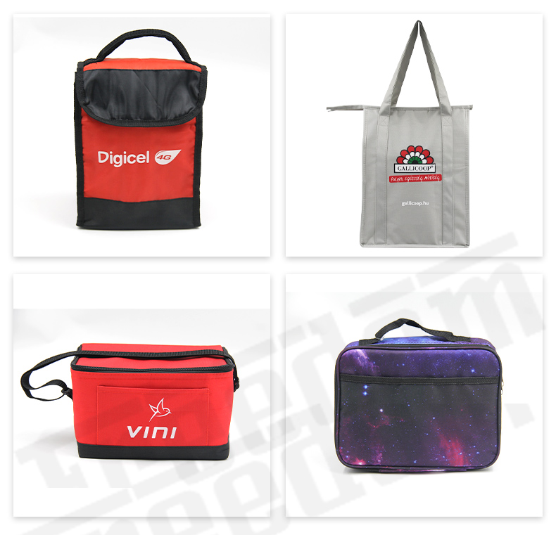 Cooler Bags (4)