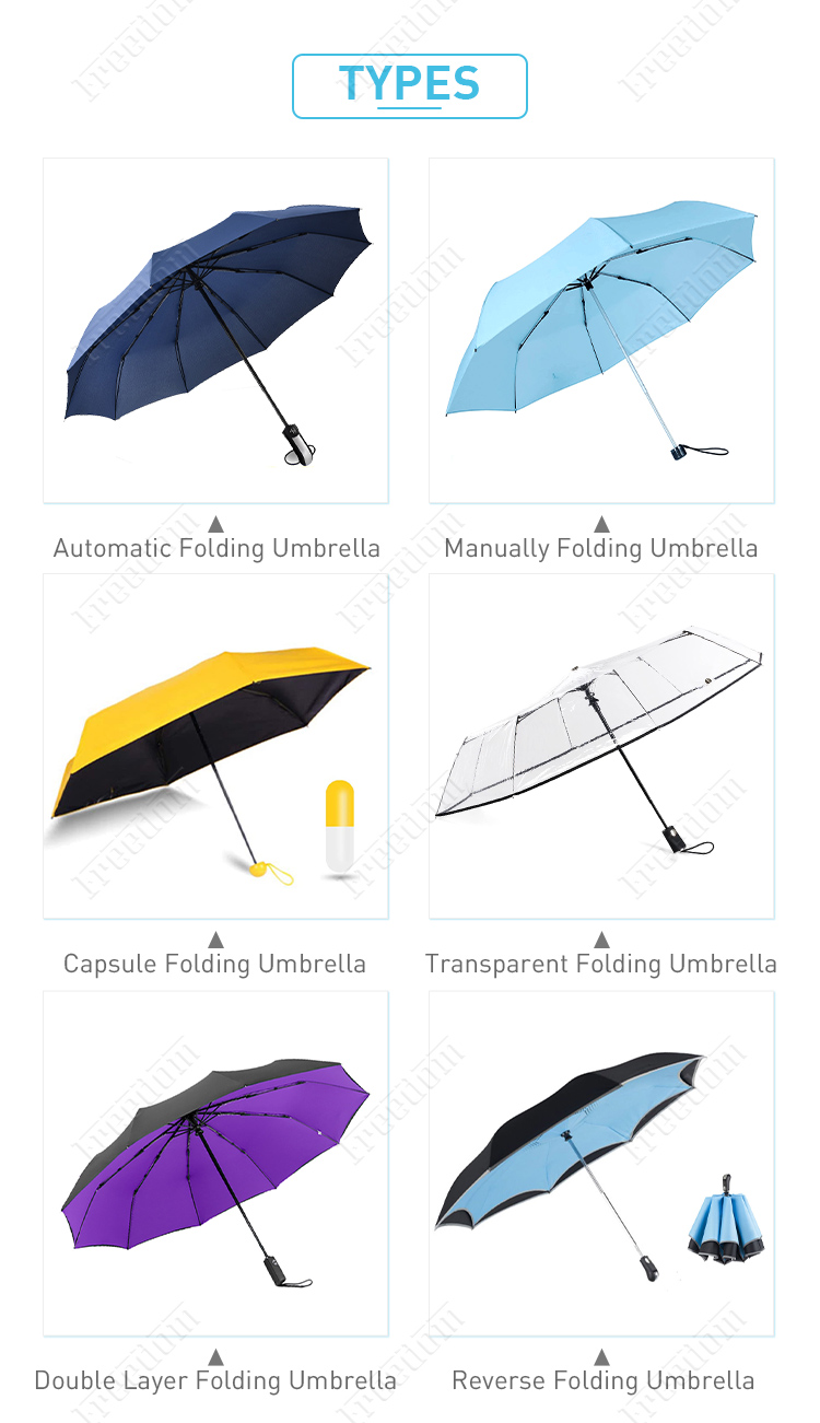 Folding Umbrella (2)